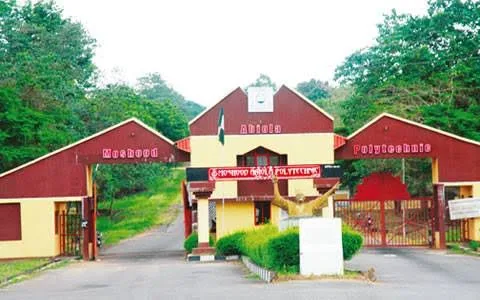 How To Check Moshood Abiola Polytechnic (MAPOLY) Admission List 2024/2025