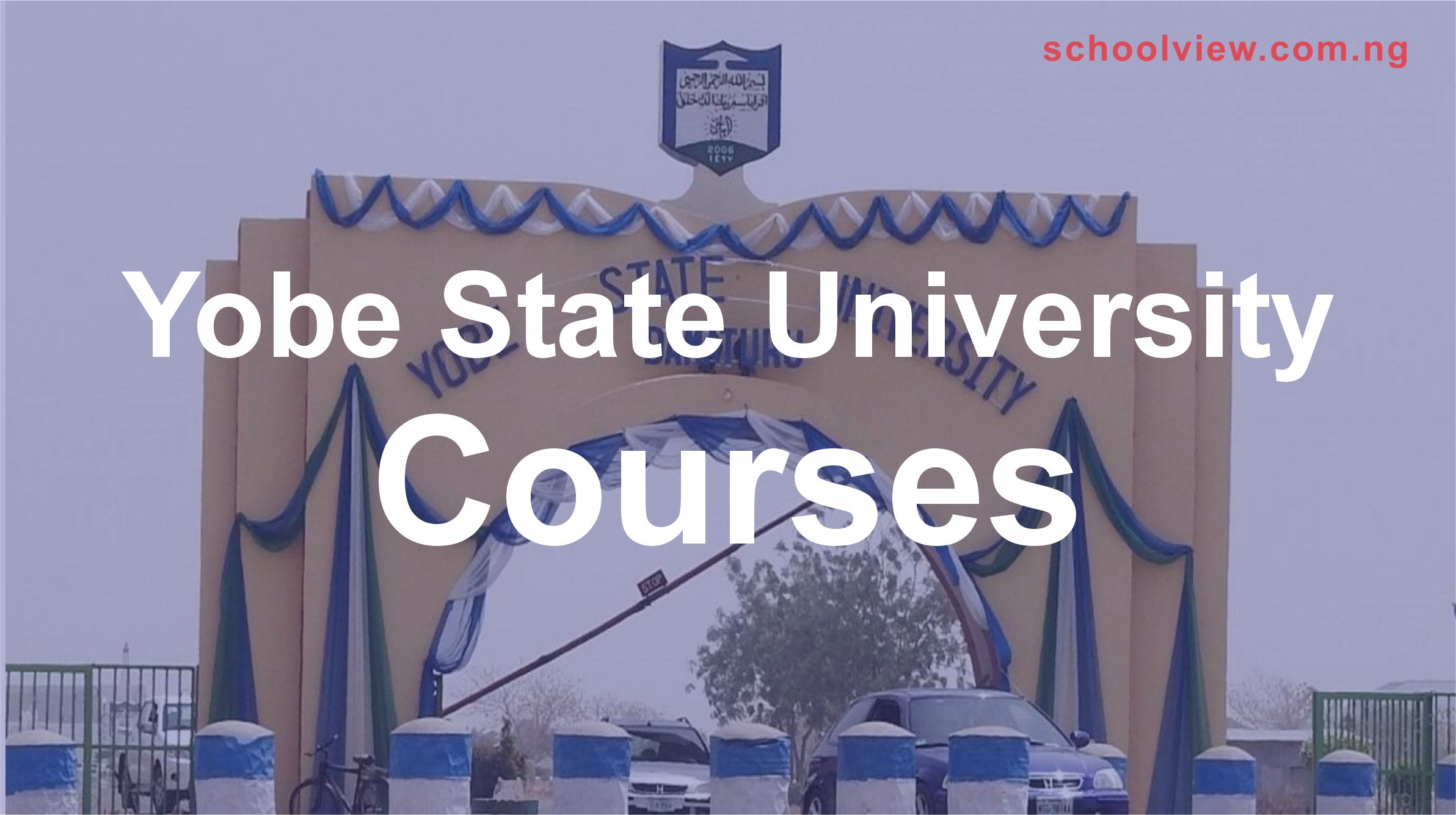 Courses offered at Yobe State University