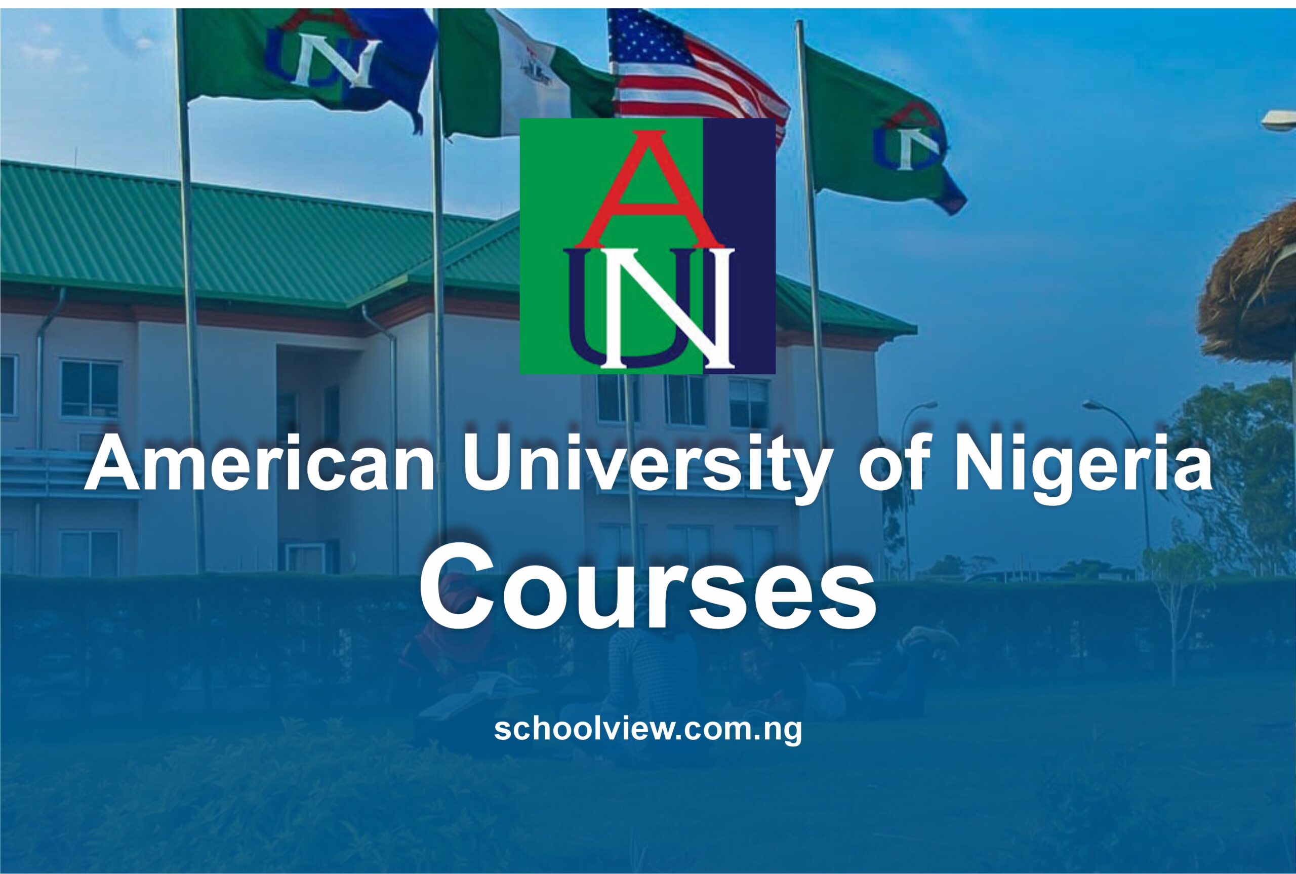 Courses offered at the American University of Nigeria (AUN)