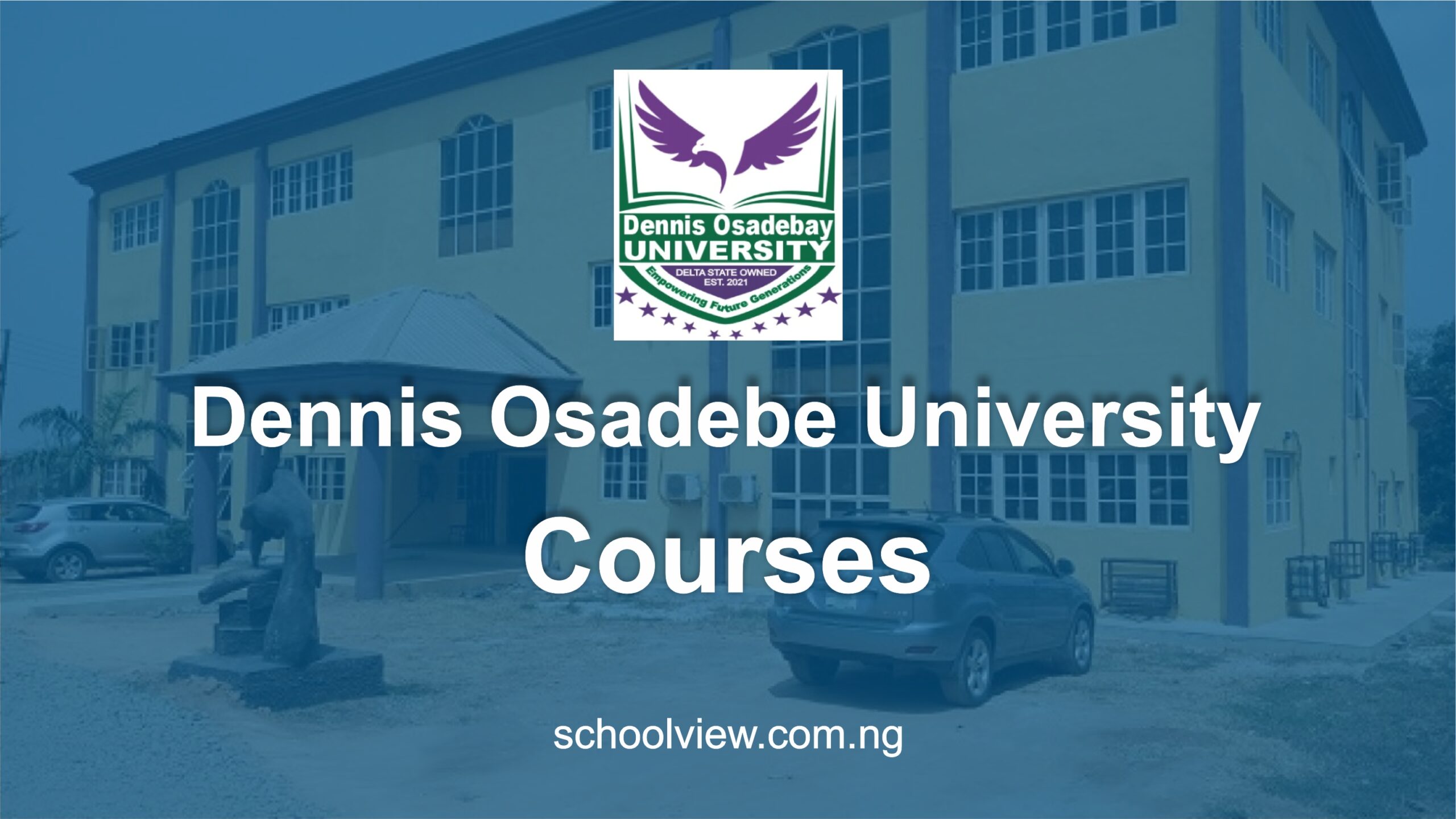 Courses Offered at Dennis Osadebe University (DOU)