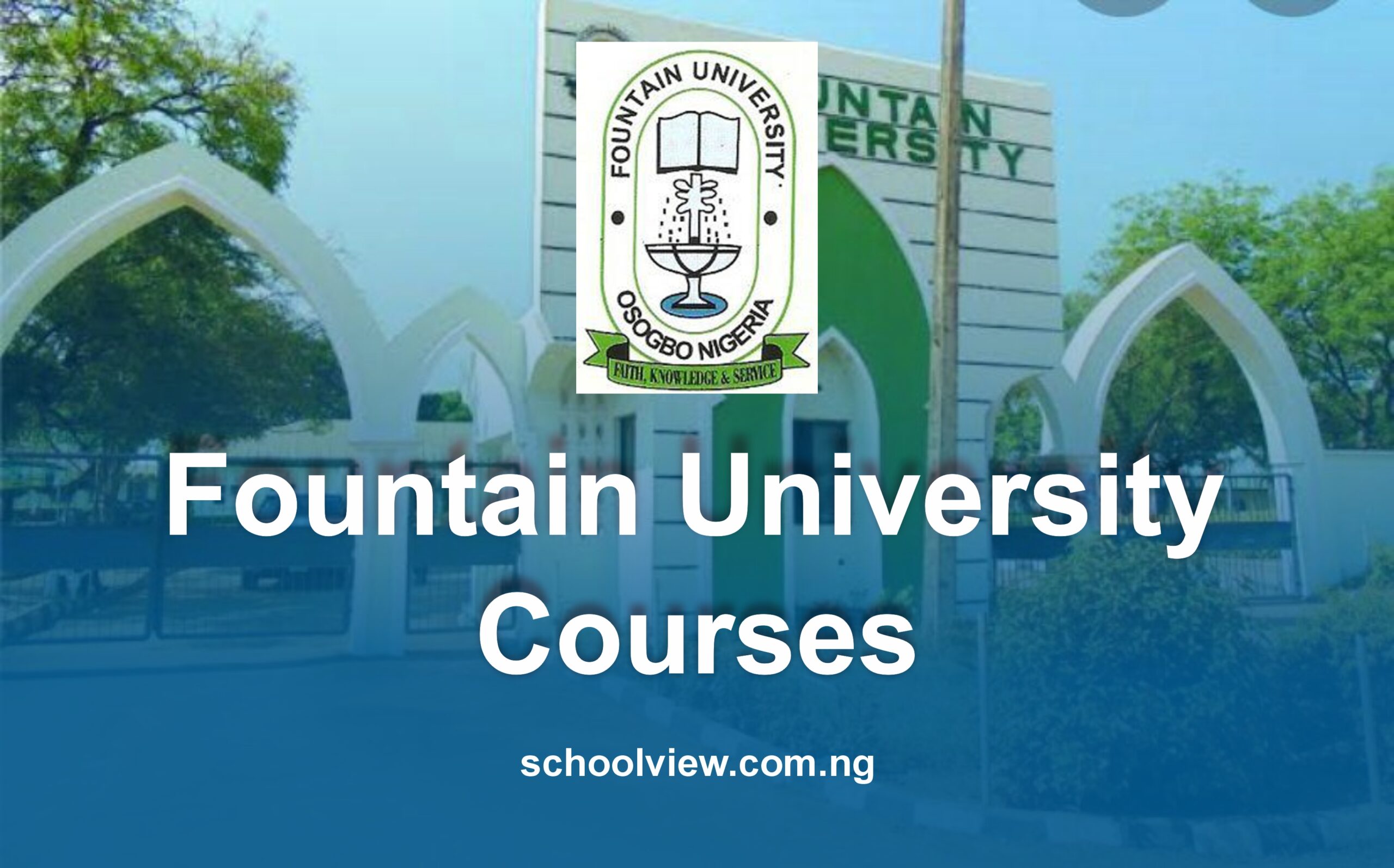 List of courses offered at Fountain University.