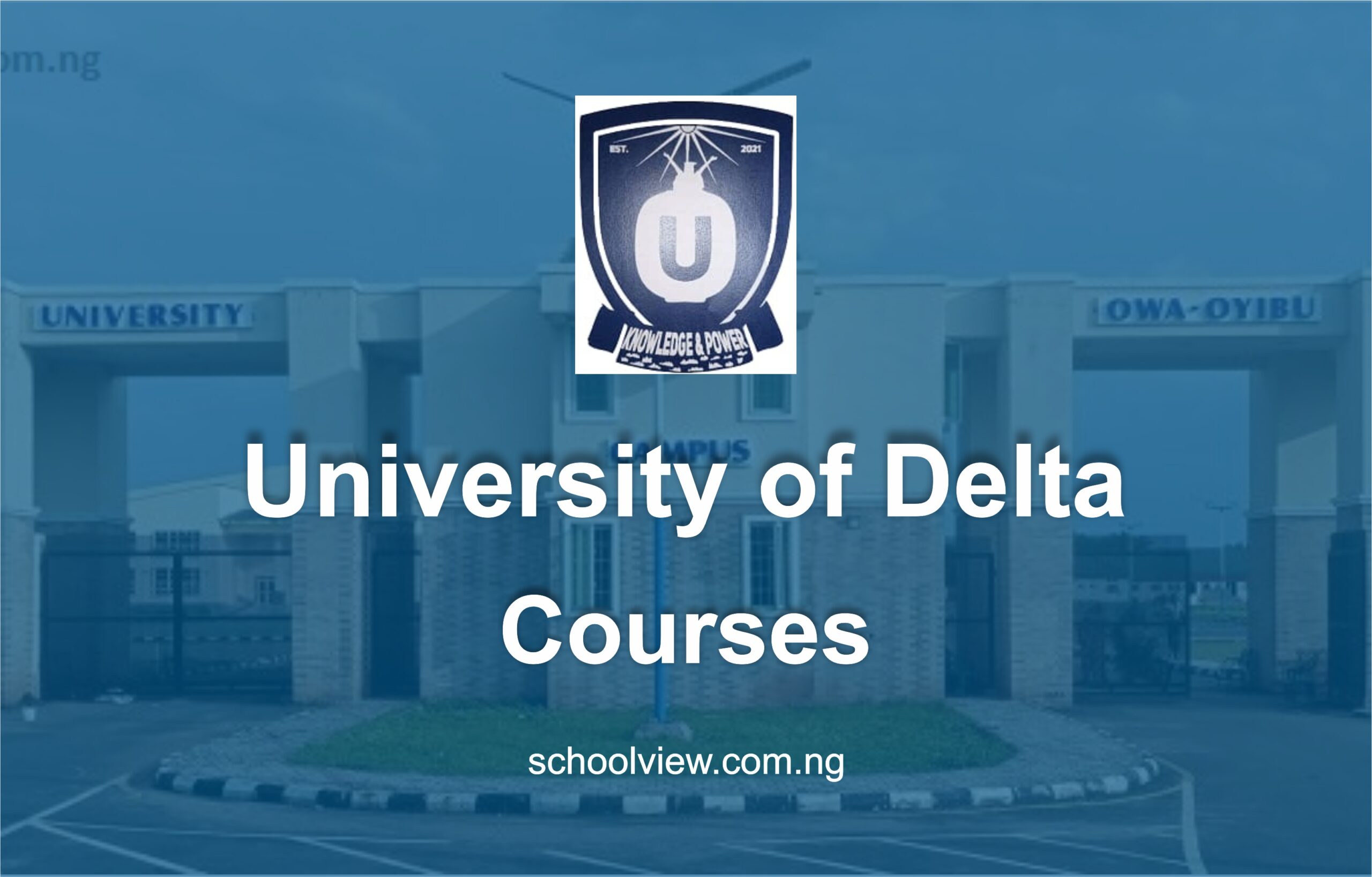 Courses Offered at University of Delta, Agbor (UNIDEL)