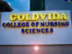 Goldvida College Of Nursing Sciences, Enugu Basic Nursing & Midwifery Admission Form 2025