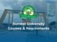 Summit University Courses